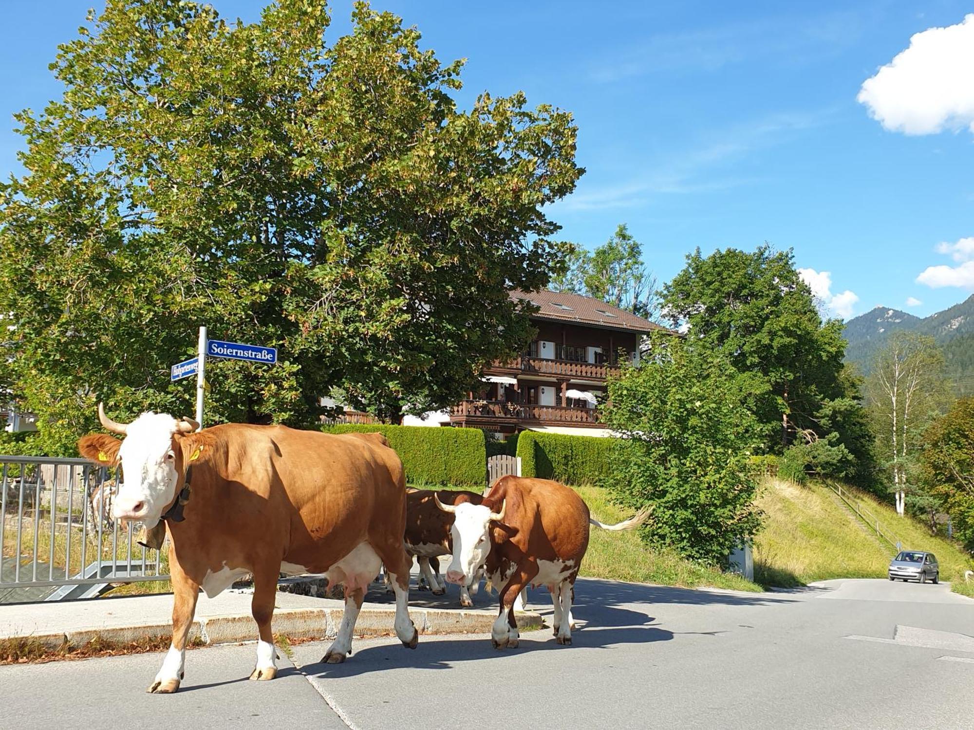 Apartmán Haus Abendsonne Familie Druxes Krün Exteriér fotografie